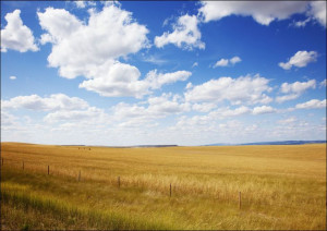 South Dakota rural scene., Carol Highsmith - plakat 91,5x61 cm