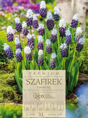 Szafirek Grape Ice fioletowo-biały 15 sztuk DCO