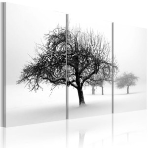 Obraz - Drzewa zanurzone w bieli [Rozmiar: 120X80]