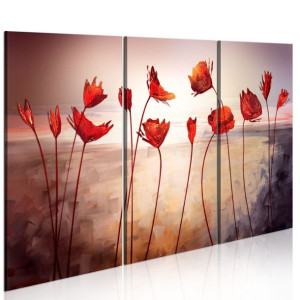Obraz - Bright red poppies [Rozmiar: 120X80]