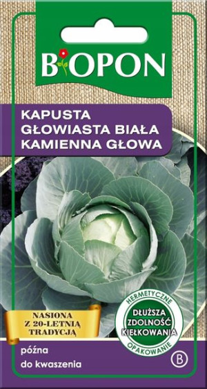 BIOPON Kapusta głowiasta biała kamienna głowa nasiona