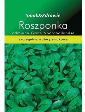 SMAK&ZDROWIE Roszponka odmiana Grote Noordhollandse