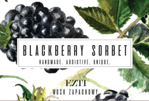 Ezti Candles, Wosk Eat Me, Blackberry Sorbet, 45 g