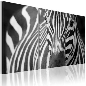 Obraz - Pani Zebra [Rozmiar: 120X80]