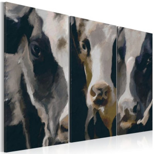 Obraz - Piebald cow [Rozmiar: 120X80]