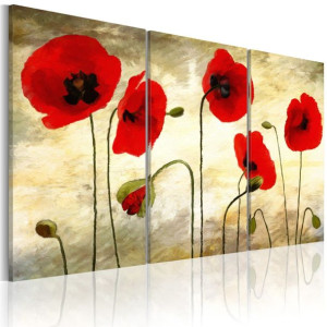 Obraz - Paper thin beauties [Rozmiar: 120X80]