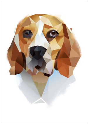 Beagle - plakat 50x70 cm