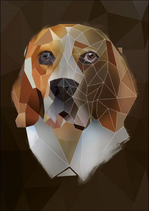 Beagle, ciemne tło - plakat 40x60 cm