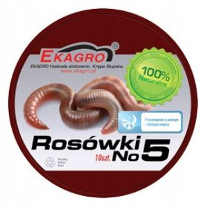 Przynęta naturalna robaki ROSÓWKA 10szt