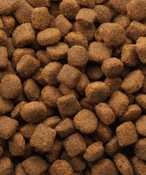 VL Classic Dog Lamb Rice 4kg własne op. strunowe