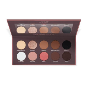 Pure Passion Pressed Eyeshadow Palette paleta cieni prasowanych 10x2.5g