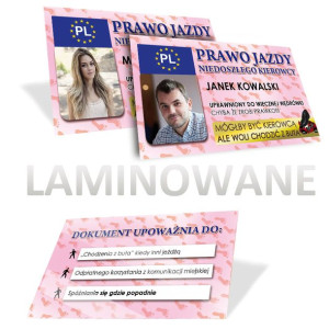 Prawo Jazdy Niedoszłego kierwocy - Motywacja do zrobienia prawa jazdy