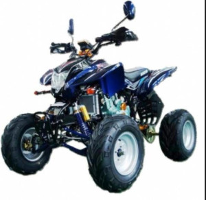 Dekiel Ozdobny Statora Atv 200 Bashan Pomarańczowy