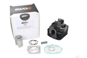 Cylinder Honda Sh-sky 50cc Ac Rms