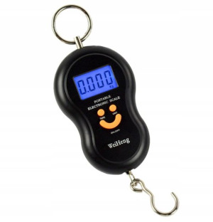 Waga Cyfrowa Przenośna Do 40kg
