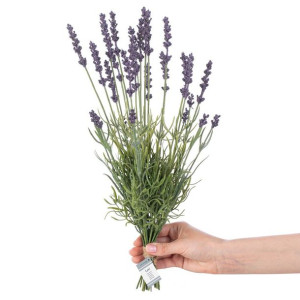 AmeliaHome Sztuczny kwiat LAVI 27 40 cm fioletowy