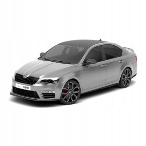 ŻARÓWKI LED DO WNĘTRZA Skoda Octavia III RS CANBUS
