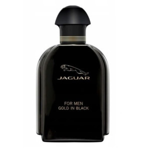 Gold In Black woda toaletowa spray 100ml Tester