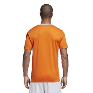 Koszulka adidas Entrada 18 JSY CD8366 - POMARAŃCZOWY; L