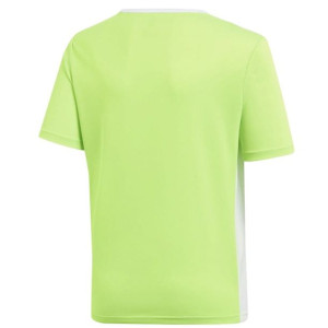 Koszulka adidas Entrada 18 JSY Y CE9755 - ZIELONY; 116 CM
