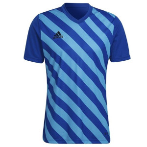 Koszulka adidas ENTRADA 22 GFX JSY HF0116 - NIEBIESKI; L