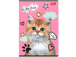 Zeszyt My Little Friend Linia Dwukolorowa 16 K Kot