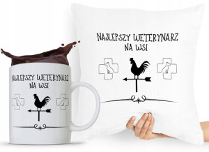 Zestaw Poduszka + Kubek Prezent Dla Weterynarza