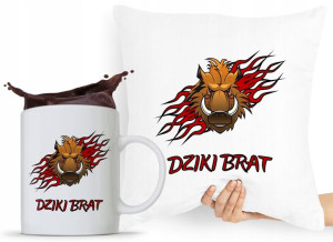 Zestaw Poduszka + Kubek Prezent Brata Braciszka