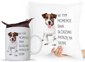 Zestaw Poduszka + Kubek Dzień Chłopaka Dla Męża
