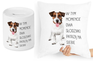 Dla Dziewczyny Zestaw Poduszka + Skarbonka Prezent