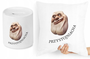Zabawny Zestaw Poduszka + Skarbonka Prezent