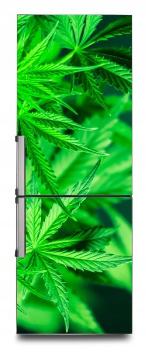 NAKLEJKA samoprzylepna okleina na lodówkę 65x150cm