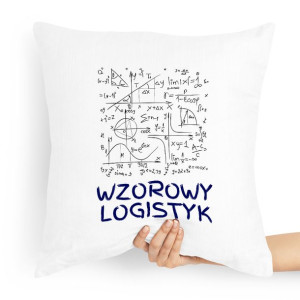 Poduszka Dla Logistyka Inżyniera Transportu