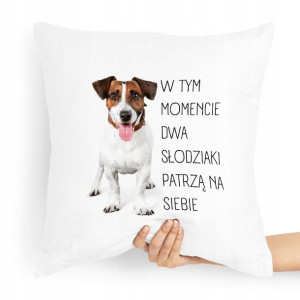 Poduszka Prezent Dla Chłopaka Dwa Słodziaki