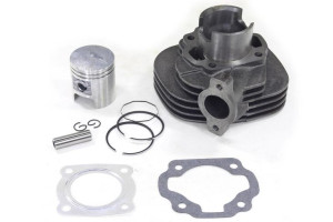 Cylinder Adly Thunder Bike Silver Fox Tb-50 50ccm 41mm Pin 10mm 2t