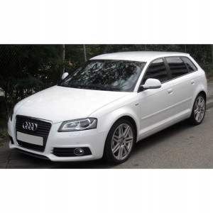 Zestaw żarówek LED do wnętrza AUDI A3 8P SPORTBACK