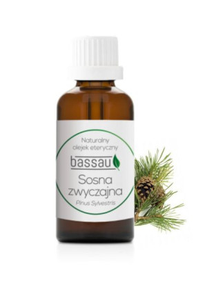 Olejek do sauny aromat BASSAU Sosna zwyczajna 15ml