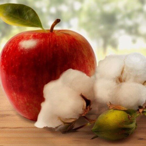 Olejek zapachowy APPLE & COTTON FLOWER CANDLES