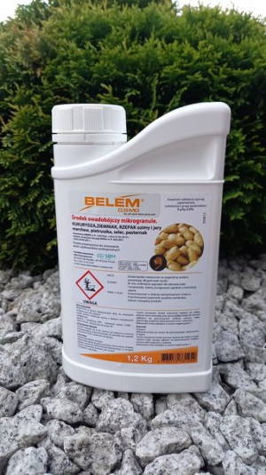 Belem 0,8 MG, 1,2 kg, środek na drutowce  SBM