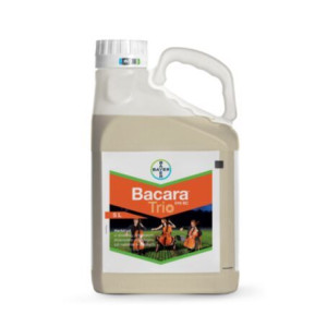 Bacara Trio 5L BAYER herbicyd na chwasty