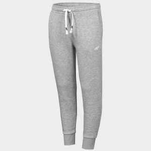 Spodnie 4f Hjl22-jspdd001 27m - Szary; 152 Cm