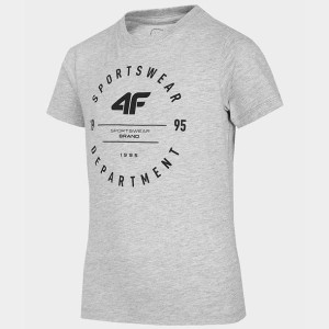 T-shirt 4f Hjl22-jtsm003 27m - Szary; 134 Cm