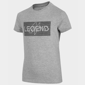 T-shirt 4f Hjl22-jtsm005 27m - Szary; 146 Cm