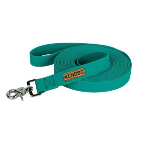 Kendog Smycz Treningowa PVC/TPU Wodoodporna 25 mm / 5 Metrów Turkusowa