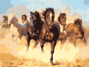 Malowanie po numerach – Pędzące konie - 40x50cm rama