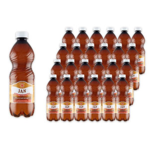 Jan Naturalna woda lecznicza oczyszczenie 0,5 l x 24 sztuki