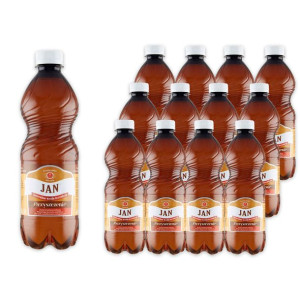 Jan Naturalna woda lecznicza oczyszczenie 0,5 l x 12 sztuk