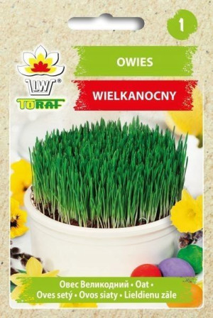 TORAF Owies wielkanocny owies 30g