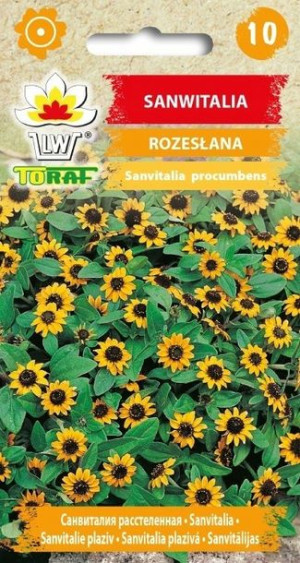TORAF KWIATY Sanwitalia rozesłana 0,5g