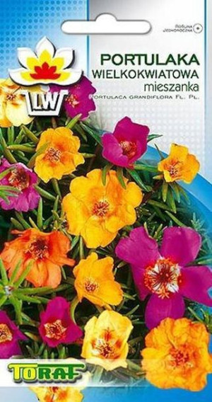 TORAF KWIATY Portulaka wielkokwiatowa mieszanka 0,5g
